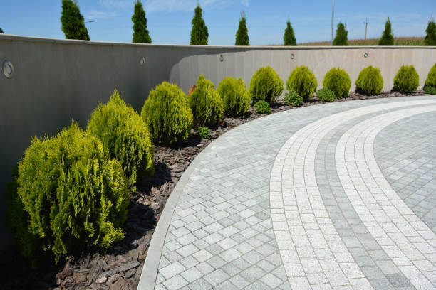 Best Residential Driveway Paver Services  in Blue Earth, MN